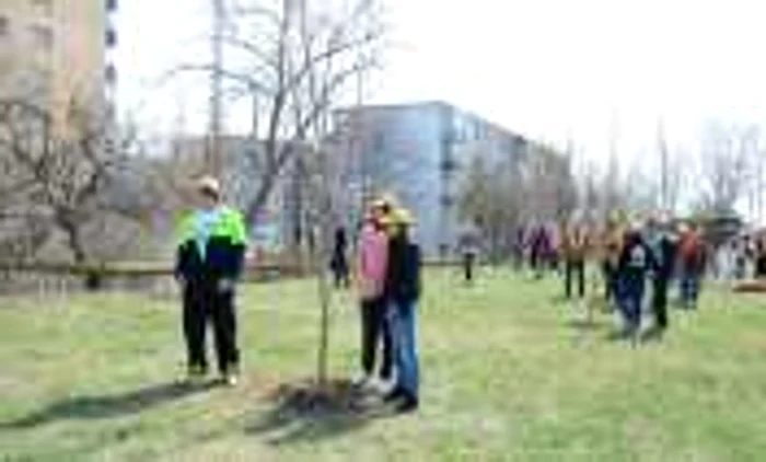 Copiii sunt la al doilea an consecutiv când plantează în acest parc Foto: Alex Policală