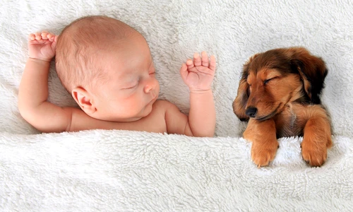 1 shutterstock 267449483 jpg jpeg