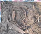 depozit de arme muzeul de arheologie prahova 1 jpg