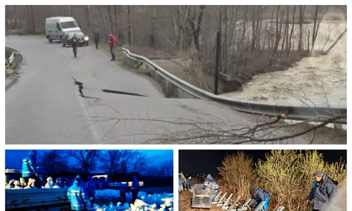 BeFunky collage11 (23) jpg