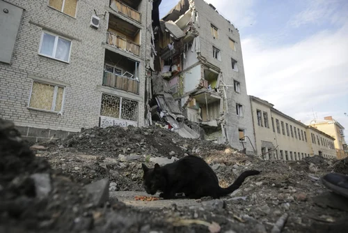 Razboi Rusia Ucraina satul Zaytseve din regiunea Donetk distrugeri soldati ucrainieni 29  30 mai 2022 FOTO EPA-EFE