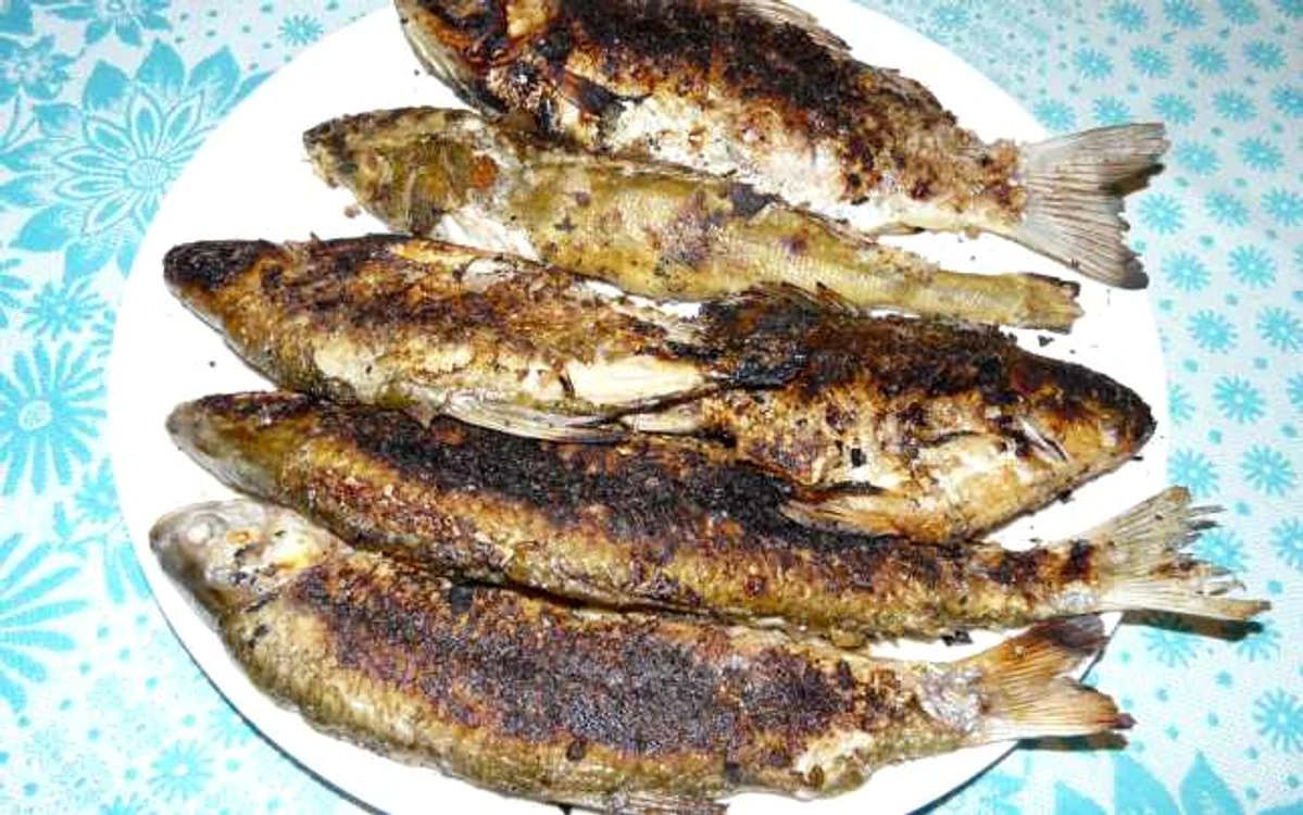 calarasi peste