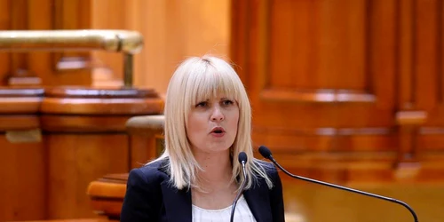 Elena Udrea in Parlament FOTO Mediafax 