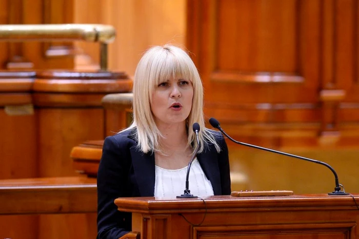 Elena Udrea in Parlament FOTO Mediafax