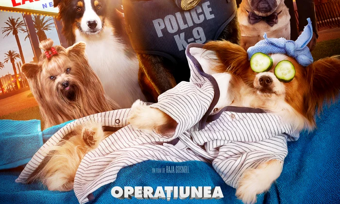 Show Dogs 2 jpeg