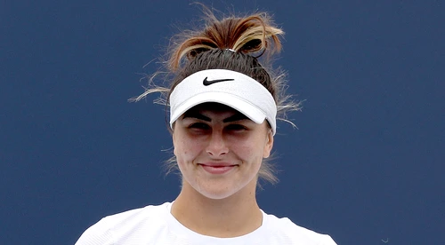 Andreescu jpg