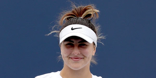 Andreescu jpg