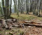 cetatea piatra rosie foto daniel guta adevarul