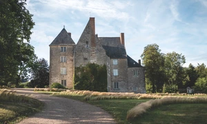 Sache shutterstock 2136170413 jpg