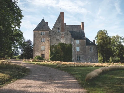 Sache shutterstock 2136170413 jpg