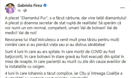 mesaj facebook firea jpeg
