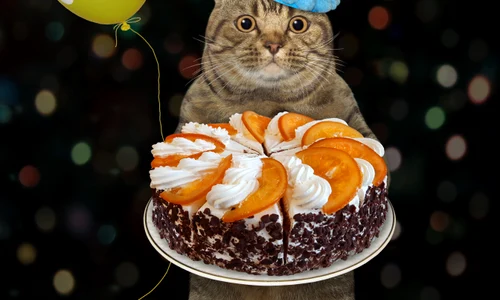 1 shutterstock 1782707681 jpg jpeg