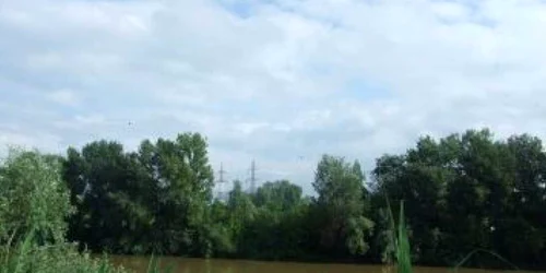 Satu Mare: Adevărul la minut
