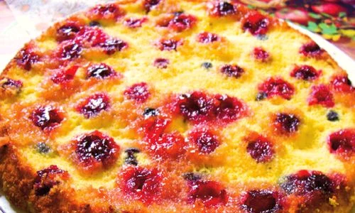 1366042784 0741tarta 20cu 20fructe jpeg
