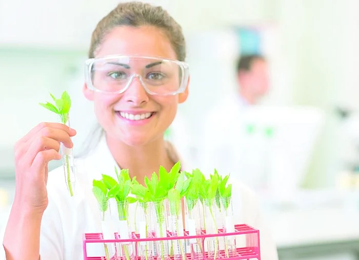 
    Plantele medicinale ţin inima sănătoasă  