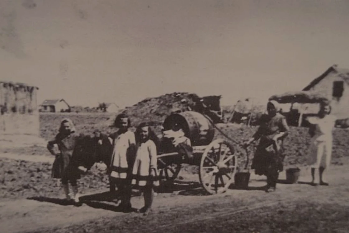 Familii sosite în Bărăgan, în anii '50. Arhiv[