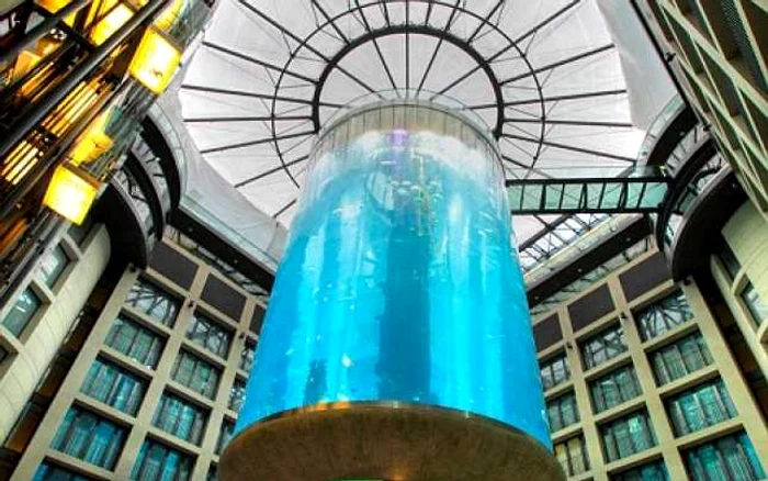 acvariu aquadom