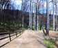 Sarmizegetusa Regia Foto Daniel Guță ADEVĂRUL (47) jpg