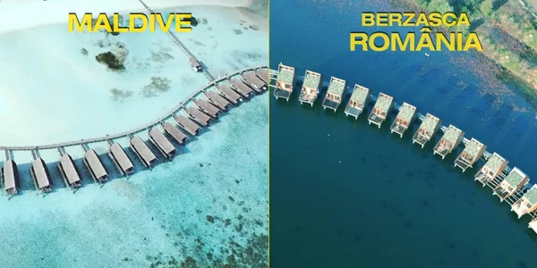 bersazca egreta maldive. foto calatori in bascheti