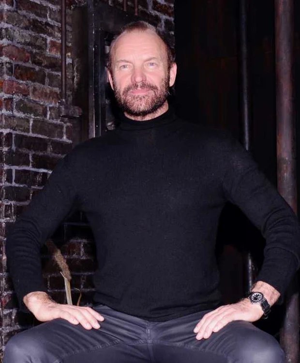 sting foto getty images