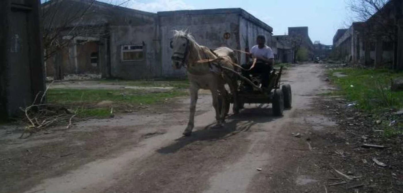 Bărbaţii au fost prinşi în timp ce încărcau fierul în căruţa Foto: arhivă