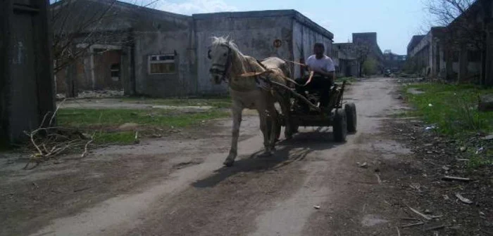 Bărbaţii au fost prinşi în timp ce încărcau fierul în căruţa Foto: arhivă