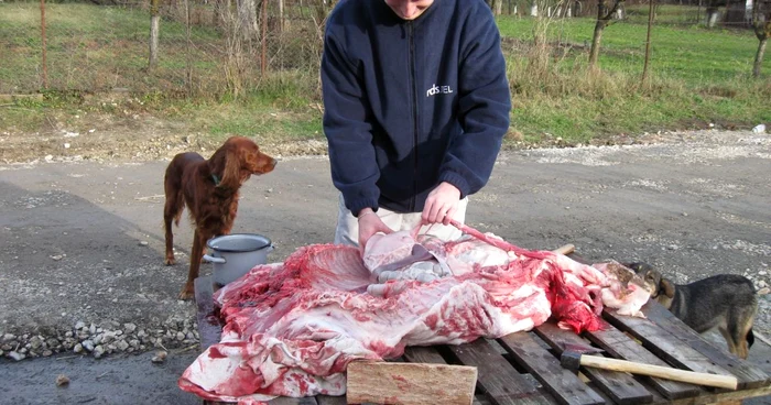 Ritualul legat de tăierea porcului a trebuit continuat fără măcelar