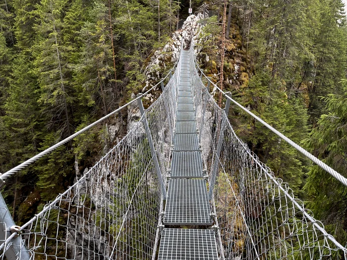 Circuit Cheile Bicăjelului Foto: Facebook