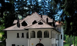 Sinaia (Cumpătu) forever jpeg