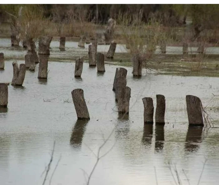 slobozia insula gasca un paradis in baragan foto balta mare a brailei