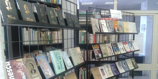 biblioteca judeteana marin preda