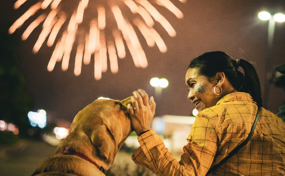 Încă un oraș din România renunță la artificiile de Revelion pentru protejarea animalelor și mediului