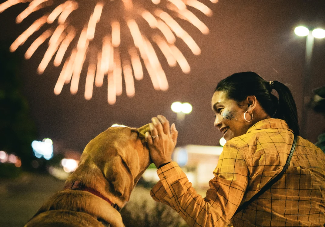 Animalele de companie suferă teribil în perioada sărbătorilor de iarnă FOTO pexels.com
