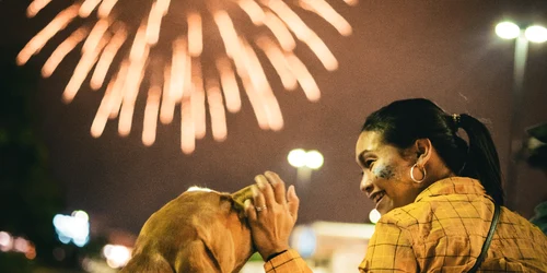 caini artificii pexels jpg