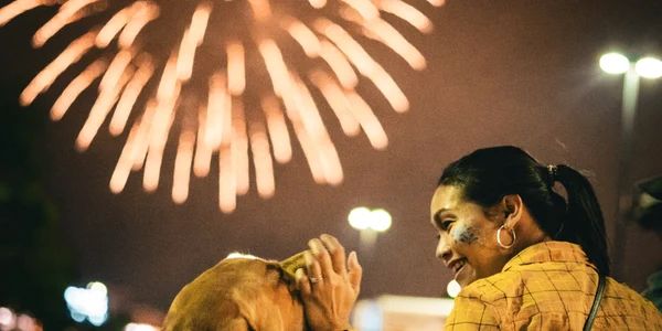 caini artificii pexels jpg