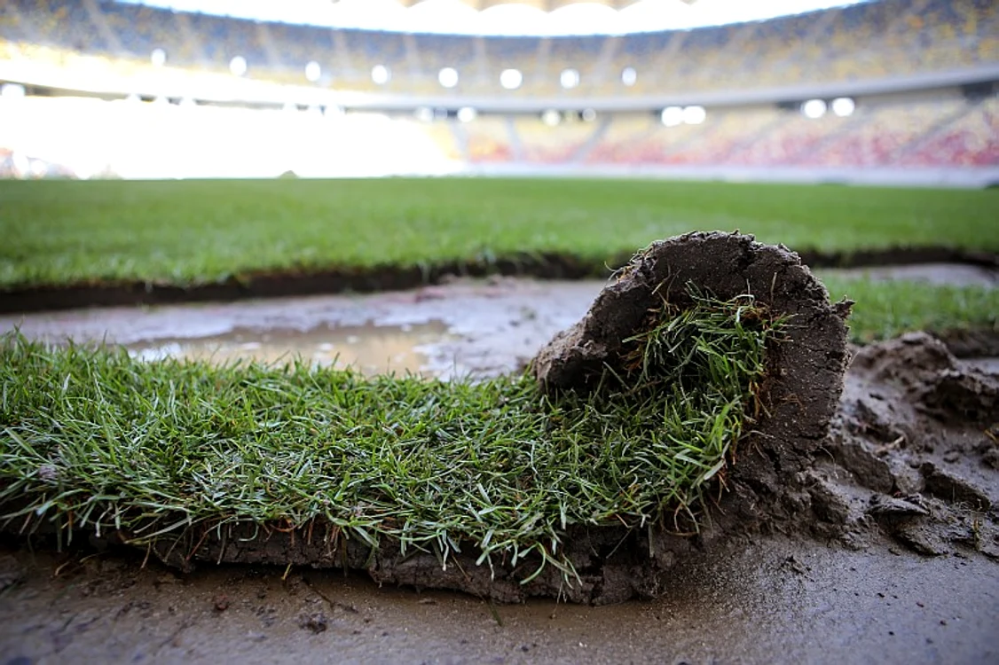 
    Gazonul a fost așezat într-un timp record pe Arena NaționalăFoto: Inquam  