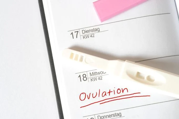 1 test ovulatie jpg jpeg