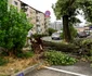 În anumite zone ale Oradiei, vântul a depăşit 144 km/oră, au spus meteorologii. Foto Facebook