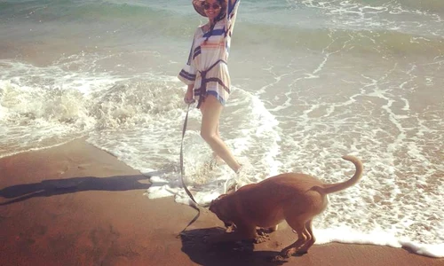 11885156 1648091752070919 8986051380083830790 n jpeg