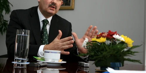 mihai tanasescu