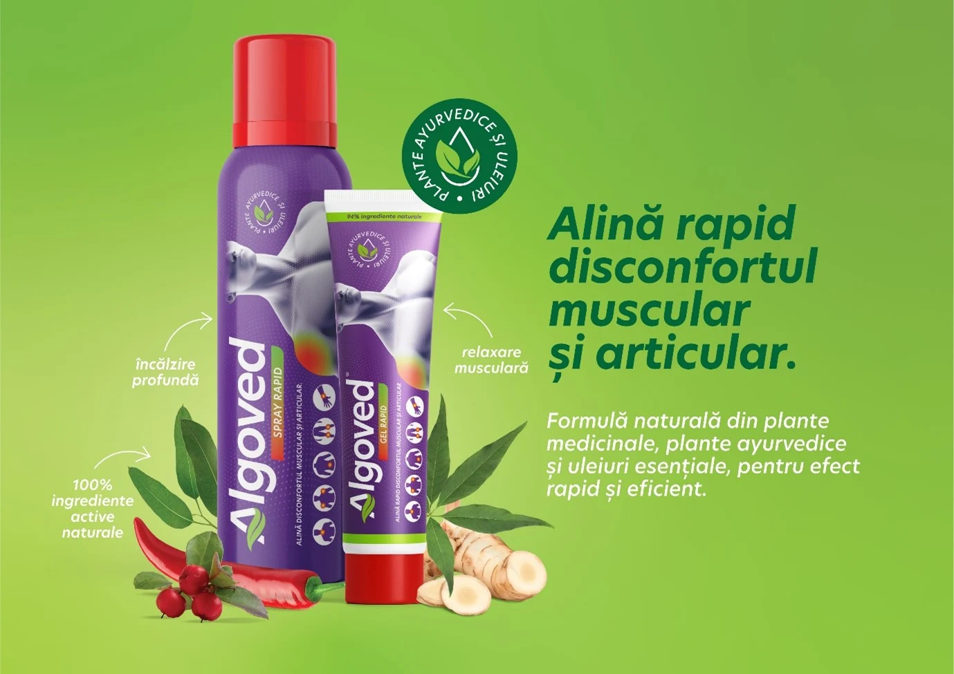 Algoved: diminețile tale pot începe altfel. Cu un zâmbet, nu cu durere