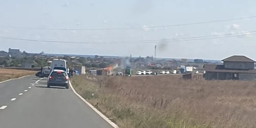 Autocamion incarcat cu leme