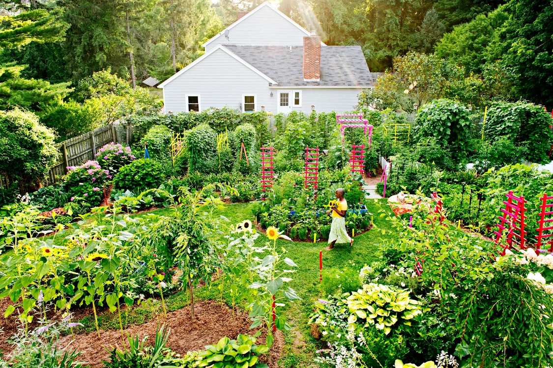 Permacultură într-o grădină productivă și sănătoasă Foto Better Homes & Gardens jpg