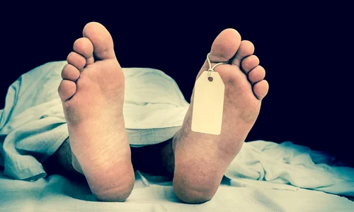 descompunere corp jpg