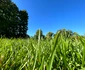 Imagini cu iPhone 14 FOTO Adrian Pogîngeanu (7) jpg
