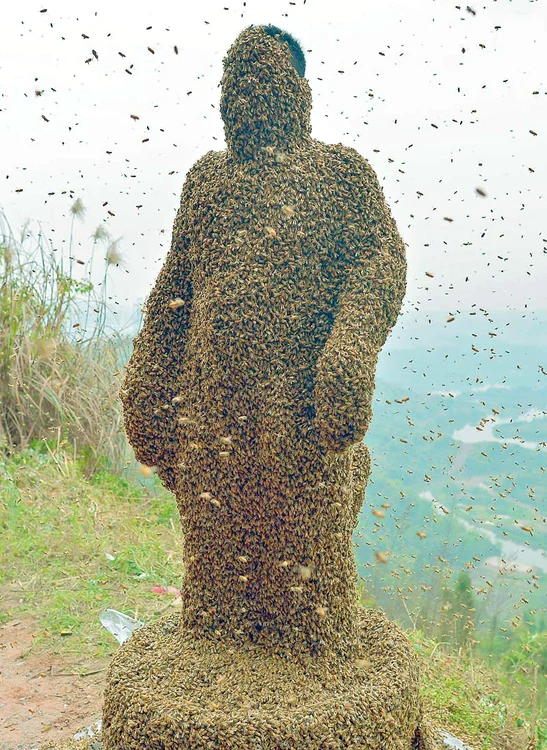 Albinele l-au acoperit în strat gros din cap până în picioare (FOTOGRAFII: REUTERS / AFP)