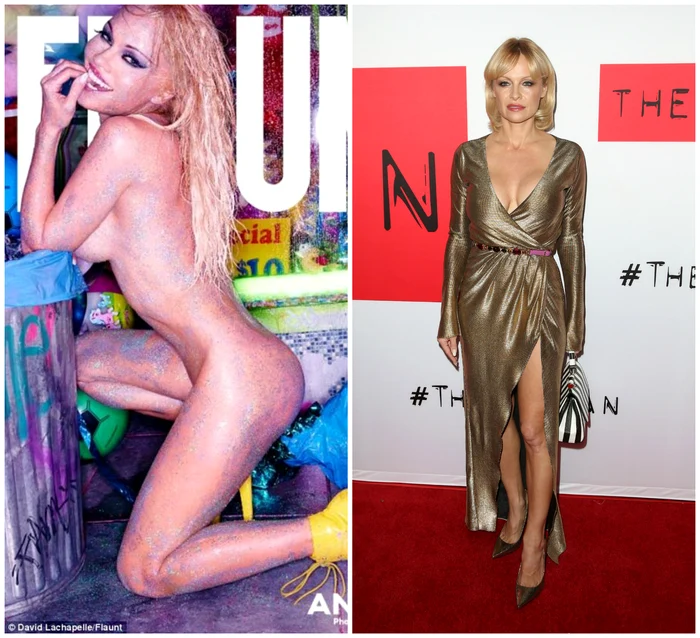 colaj pamela anderson jpeg