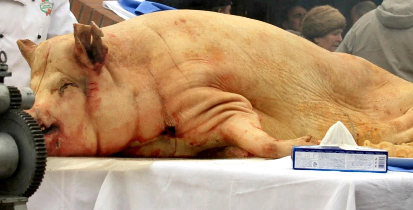 
    30 de persoane au mâncar din porcul infestat cu trichineloză  
