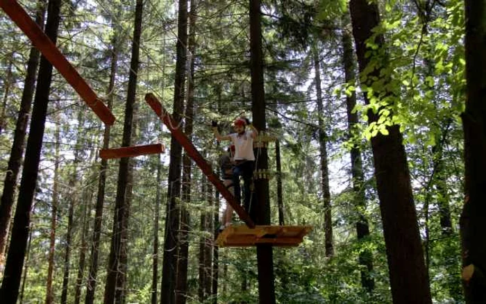 Parcul dispune de patru trasee de căţărare. FOTOWolf Park Aventure.