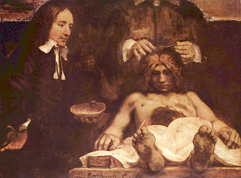 Rembrandt Lectia de anatomie a dr Deyman jpg jpeg
